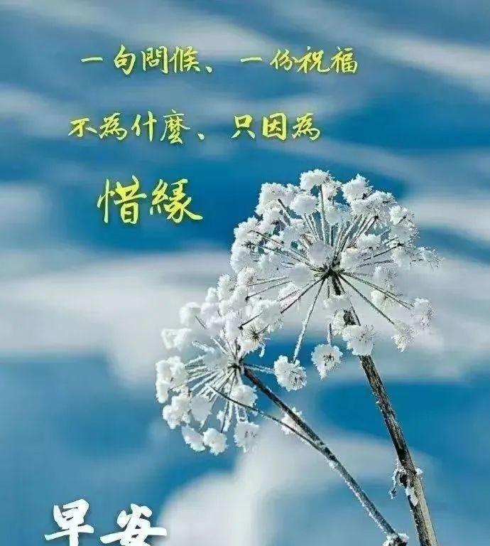 最美风景带字早安问候语（最新特别漂亮早安问候祝福图片带字）