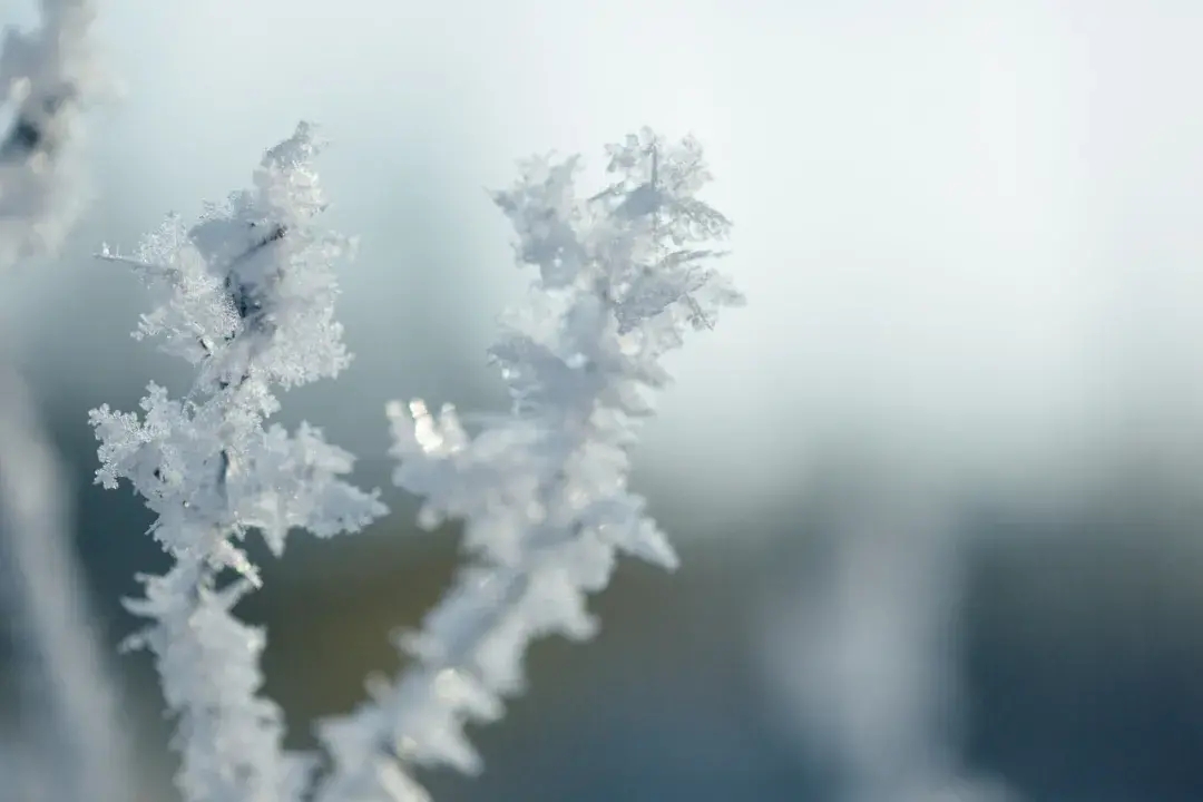 形容雪优美的古诗有哪些（形容冰雪的唯美诗词）