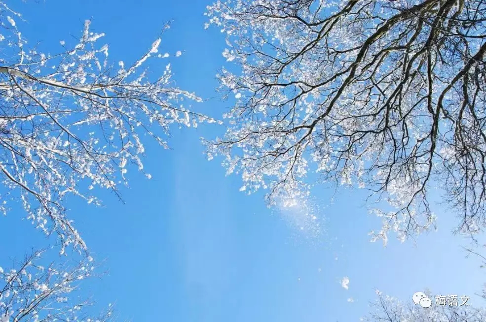 关于写雪景的好词好句好段（描写雪景的好句大全）