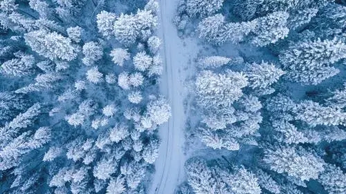 关于写雪景的好词好句好段（描写雪景的好句大全）