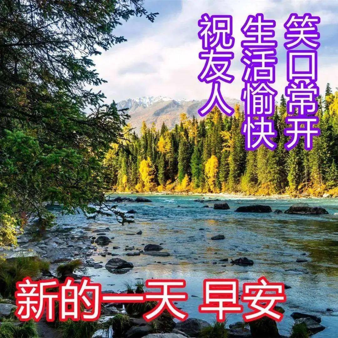 早晨问安的暖心短语（早晨问安的图片和句子）