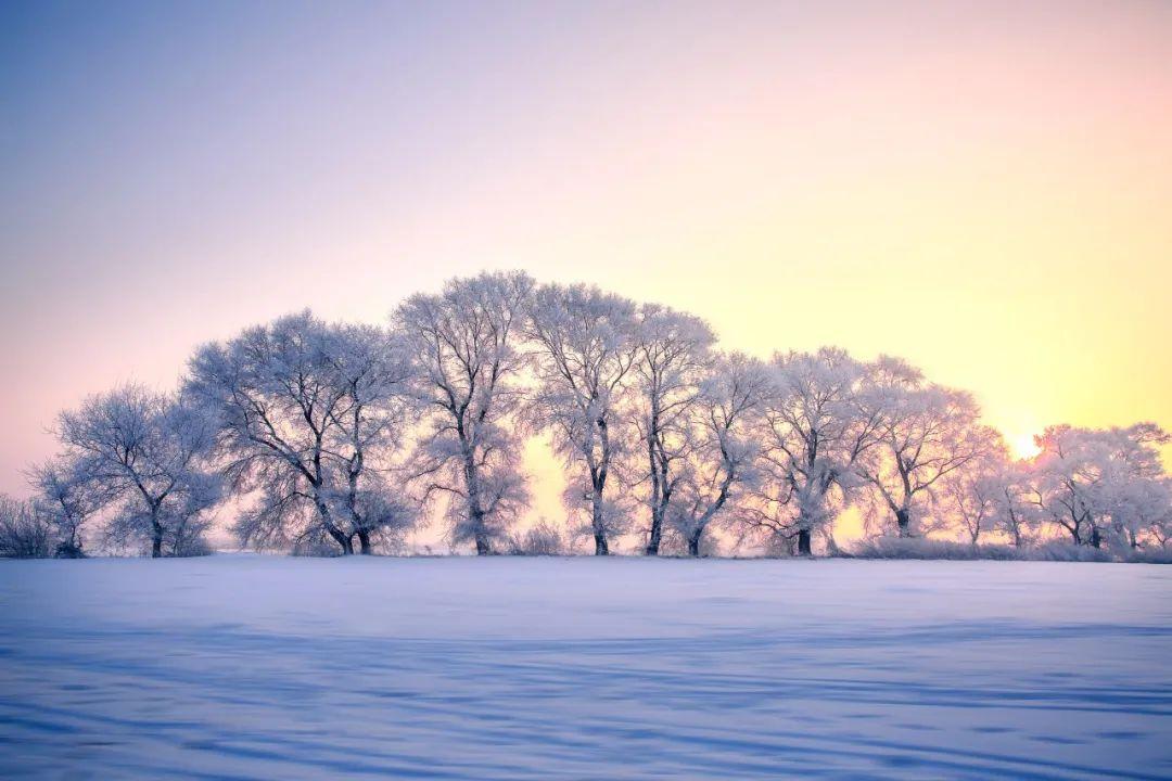 下冬雪的诗词（关于下雪了的诗）