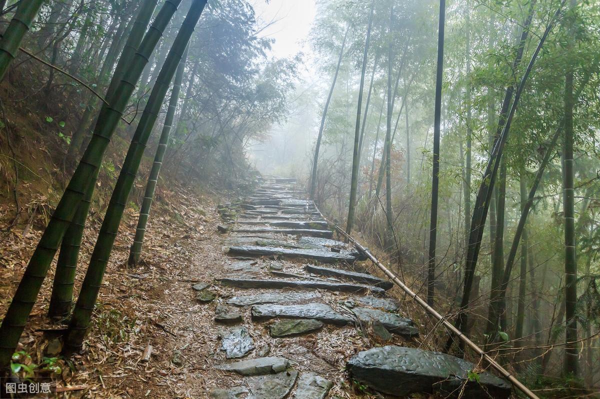 下雨天的诗词文案（关于雨天的古诗词大全）