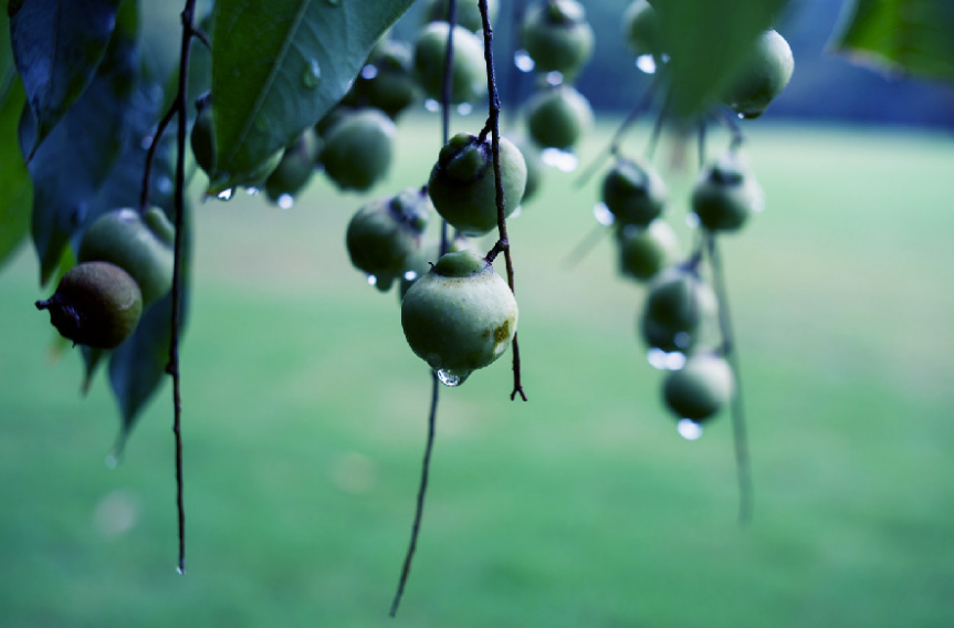 最经典的关于秋雨的古诗词（关于秋雨的浪漫诗句）