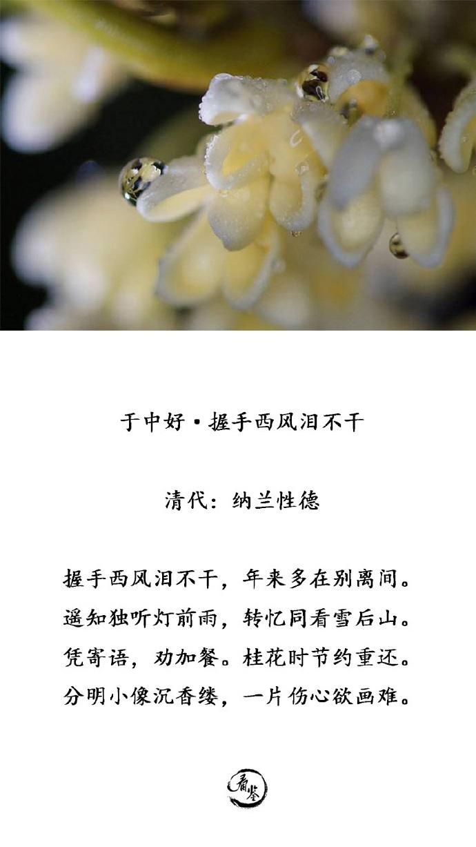 吟咏桂花的诗句（歌咏桂花的诗句有哪些）