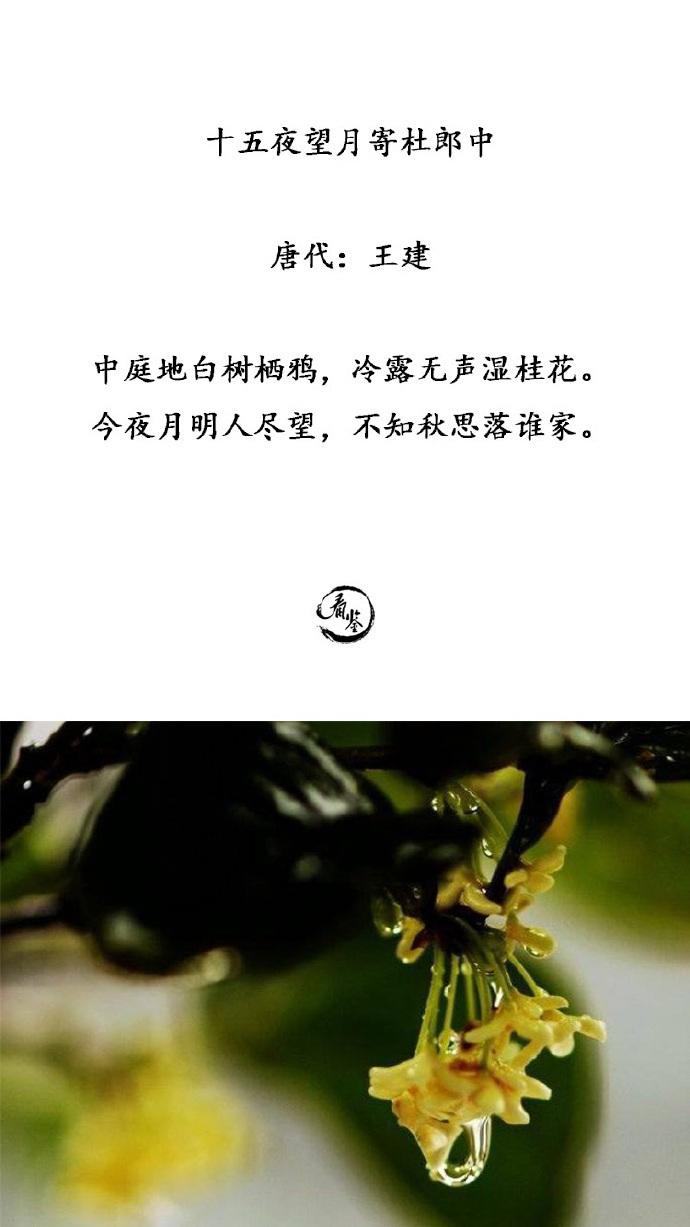 吟咏桂花的诗句（歌咏桂花的诗句有哪些）