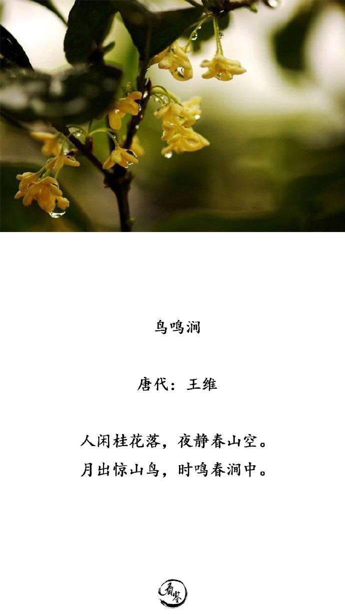 吟咏桂花的诗句（歌咏桂花的诗句有哪些）