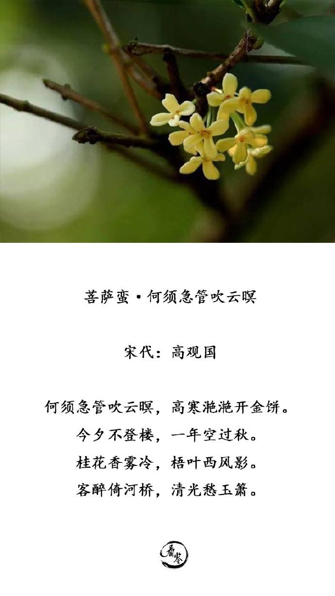 吟咏桂花的诗句（歌咏桂花的诗句有哪些）