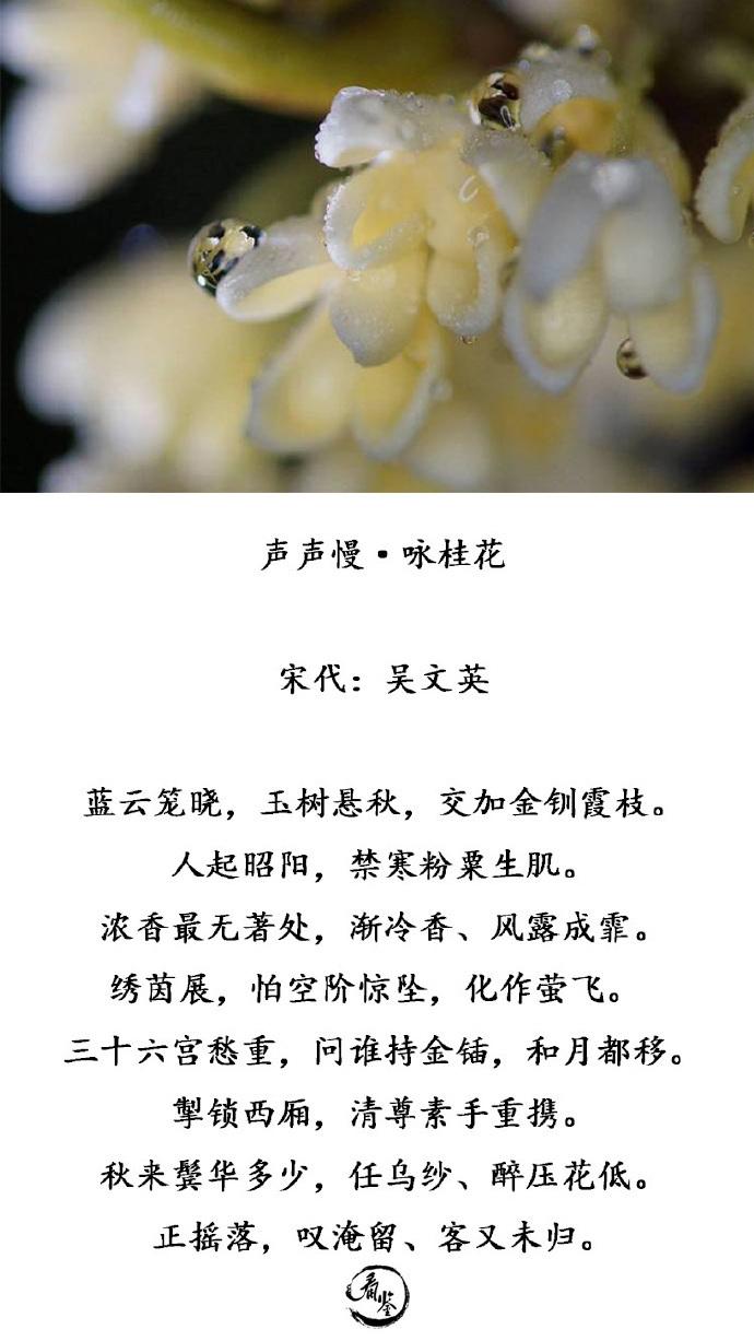 吟咏桂花的诗句（歌咏桂花的诗句有哪些）