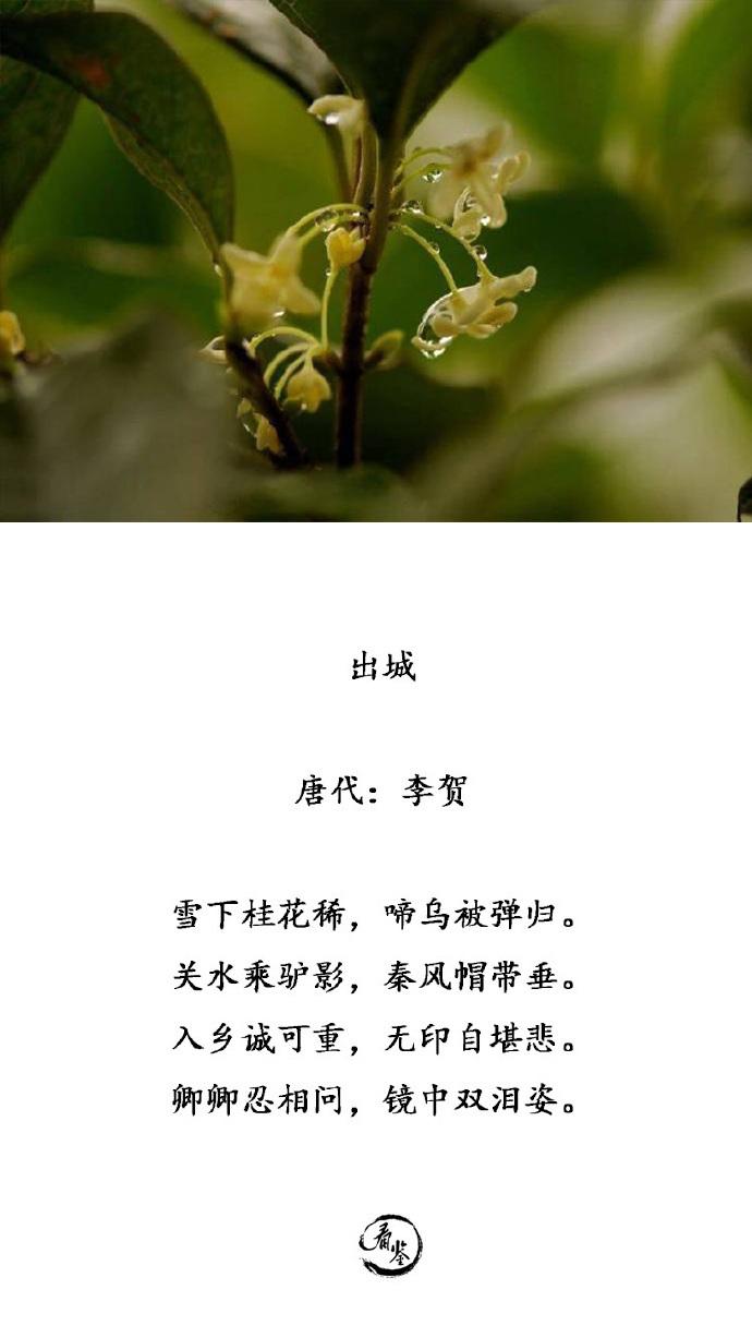 吟咏桂花的诗句（歌咏桂花的诗句有哪些）