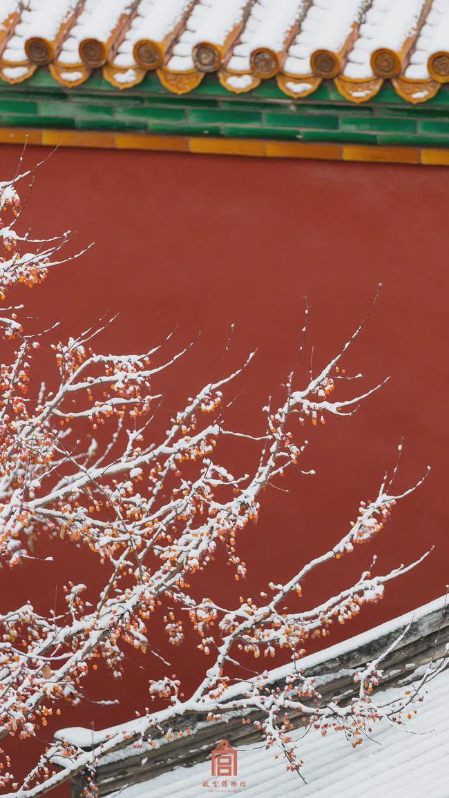 一场故宫雪,梦回紫禁城（北京初雪故宫变回紫禁城 白雪与红墙交相辉映）