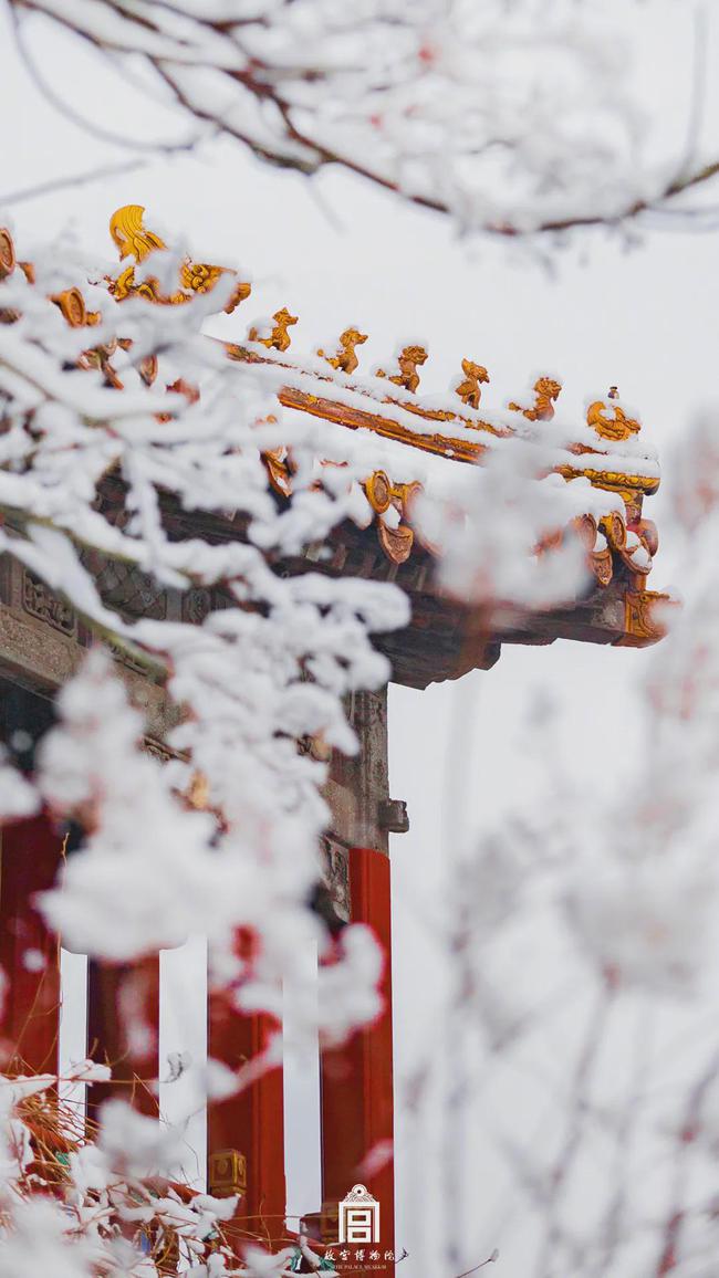 一场故宫雪,梦回紫禁城（北京初雪故宫变回紫禁城 白雪与红墙交相辉映）