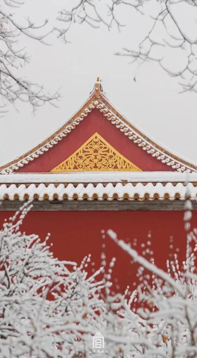 一场故宫雪,梦回紫禁城（北京初雪故宫变回紫禁城 白雪与红墙交相辉映）