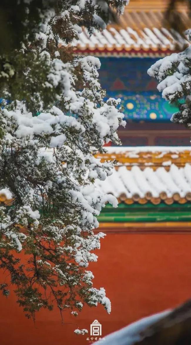 一场故宫雪,梦回紫禁城（北京初雪故宫变回紫禁城 白雪与红墙交相辉映）