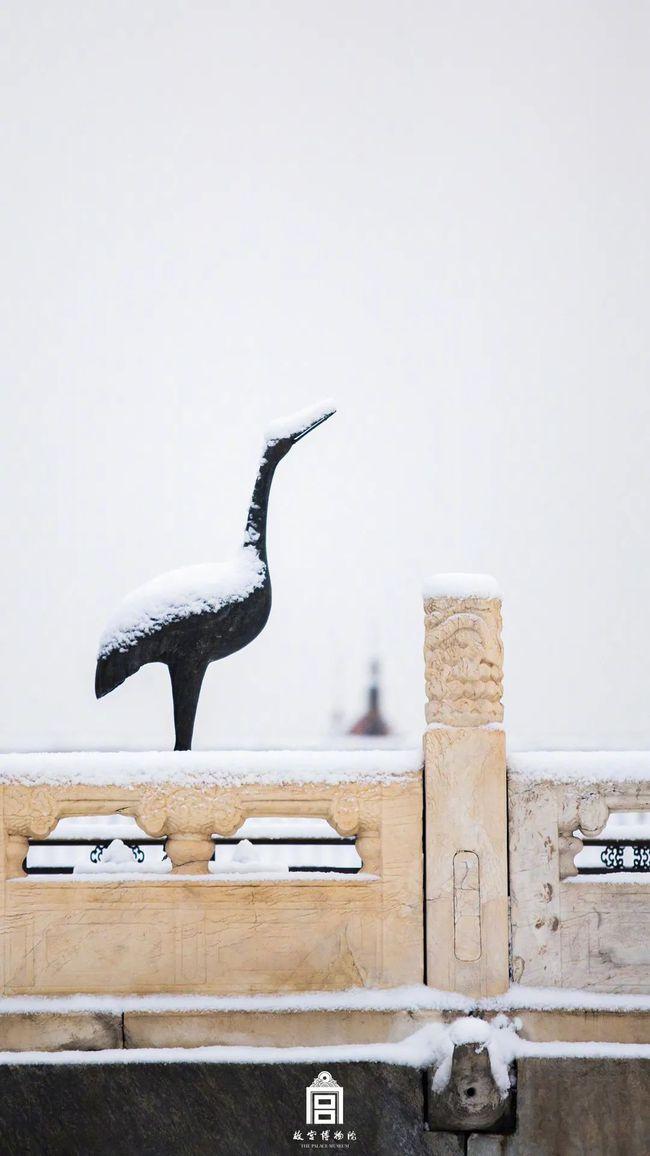 一场故宫雪,梦回紫禁城（北京初雪故宫变回紫禁城 白雪与红墙交相辉映）