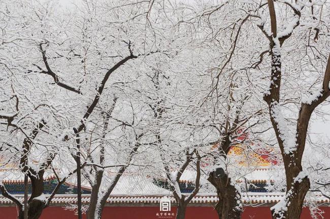 一场故宫雪,梦回紫禁城（北京初雪故宫变回紫禁城 白雪与红墙交相辉映）