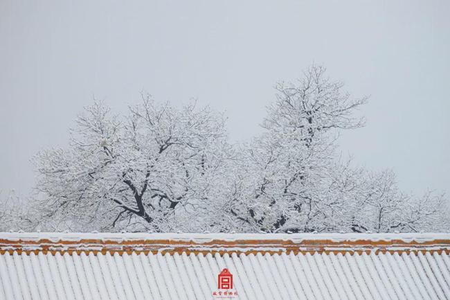 一场故宫雪,梦回紫禁城（北京初雪故宫变回紫禁城 白雪与红墙交相辉映）