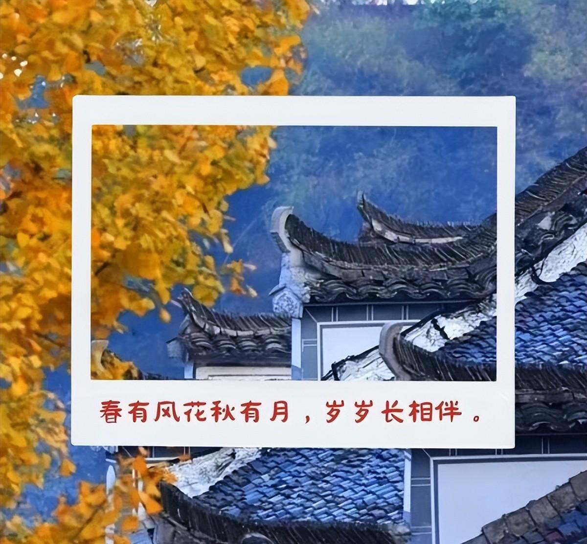 秋天唯美句子适合发圈（秋天优美句子摘抄）