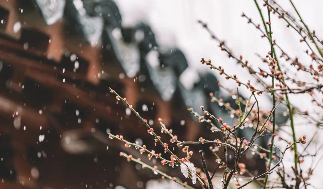 雪落下来，整个世界都安静了