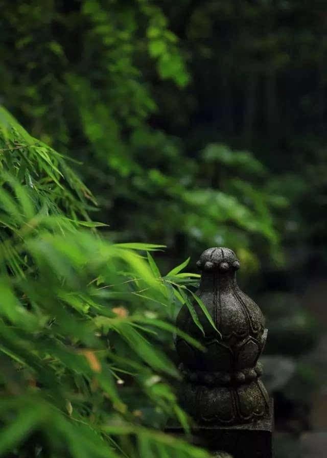 五风十雨的意思（五风十雨的典故）