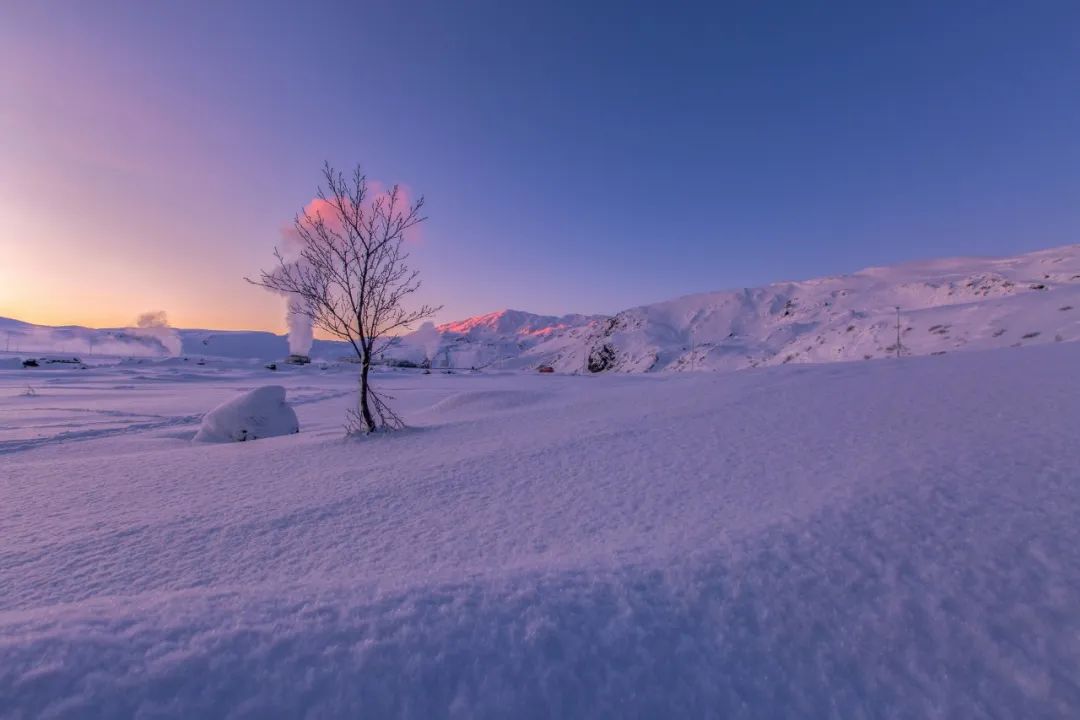 下冬雪的诗词（关于下雪了的诗）