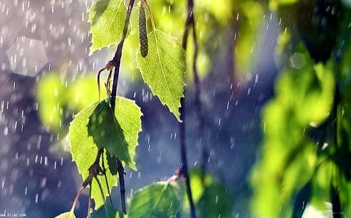 雨过天晴,终见彩虹（雨过天晴，彩虹必现——人生亦是如此）