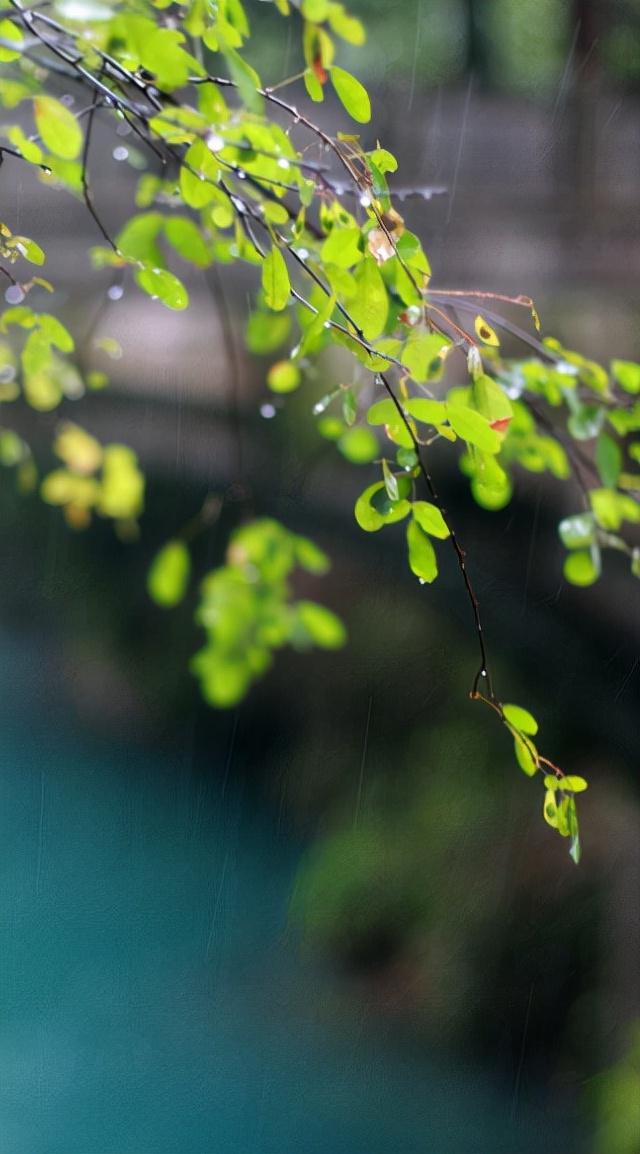 最经典的关于秋雨的古诗词（关于秋雨的浪漫诗句）