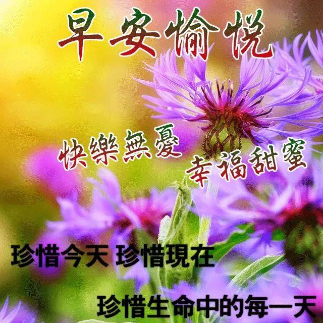 微信早上好祝福语大全早安问候语（暖心早上好问候祝福语大全）