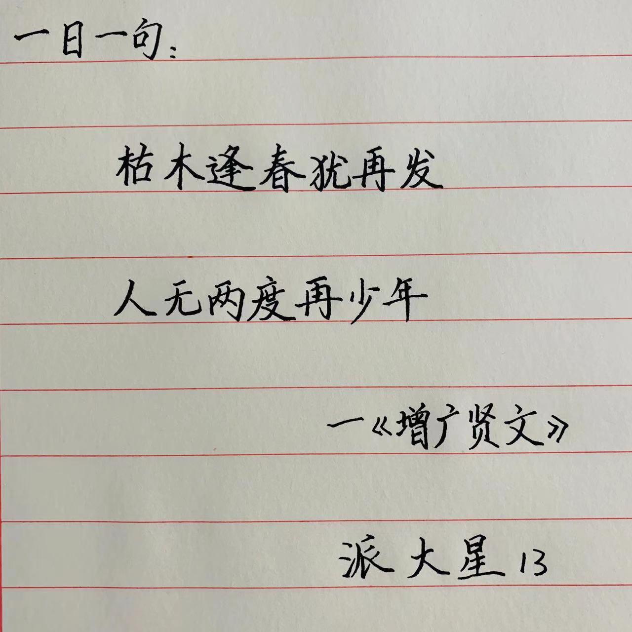 枯木逢春犹再发人无两度再少年的意思是什么（枯木逢春犹再发,人无两度再少年的理解）