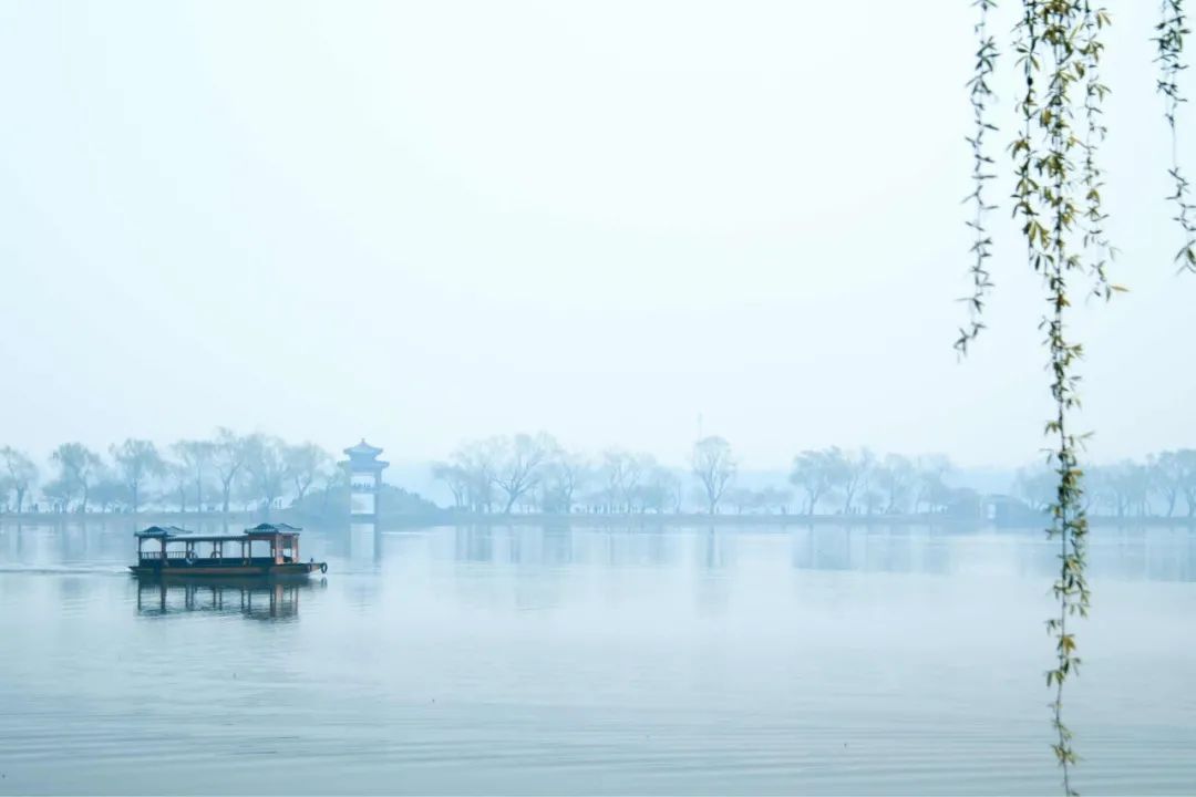 关于春雨的优美的诗句（赞美春雨的优美诗句有哪些?）