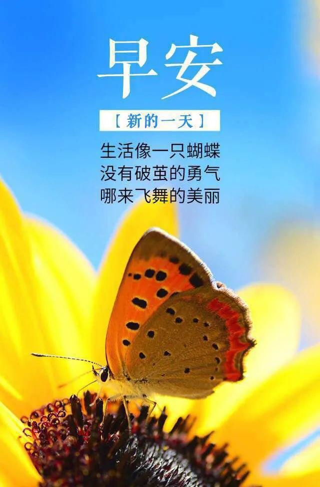 正能量的早安心语激励短句带图（暖心早安心语正能量励志短句）