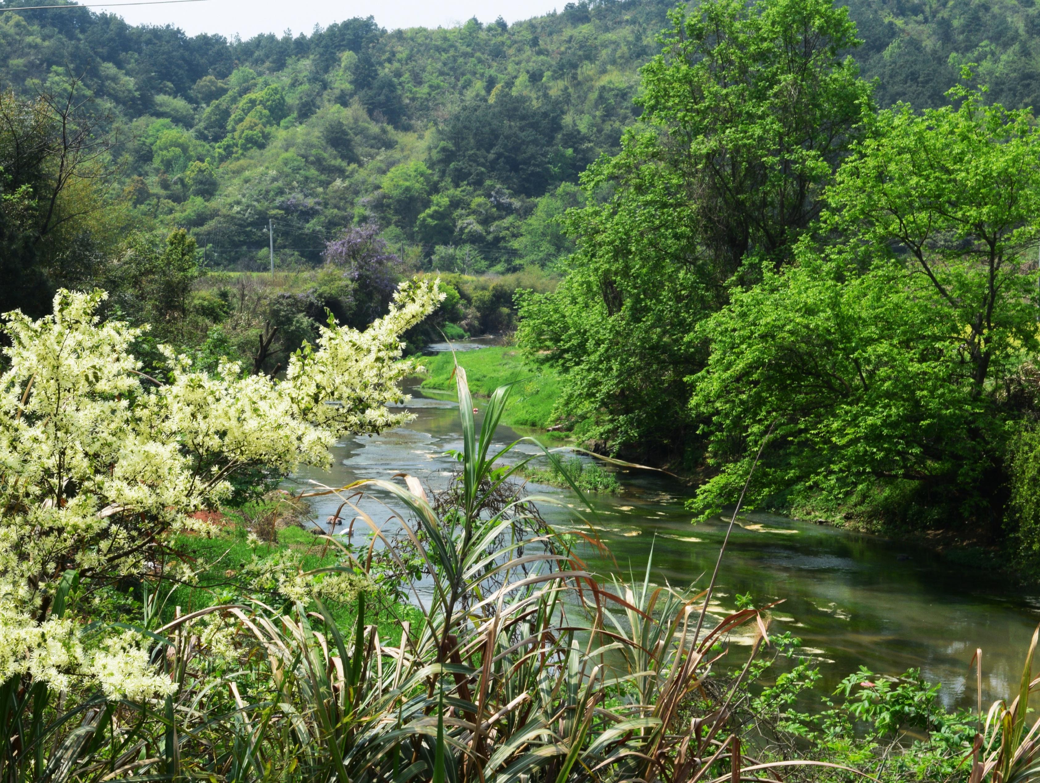 中学经典美文《桃花源记》的主题思想辨析（桃花源记的主题和作者的思想感情）