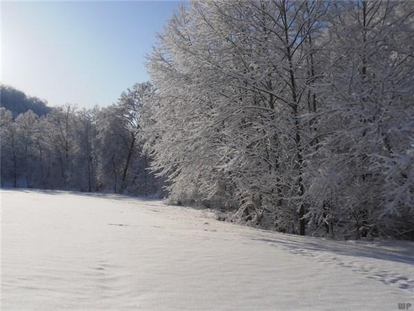 最全下雪天心情说说，浪漫、文艺、伤感、幽默……总有一句你喜欢的