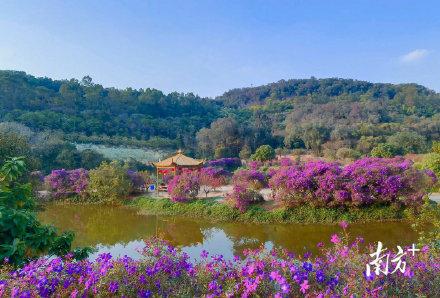 南国春早桃花开（桃花开画江南春色满）