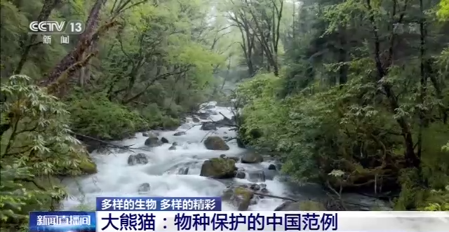 什么是生物多样性保护（保护生物的多样性有什么意义）