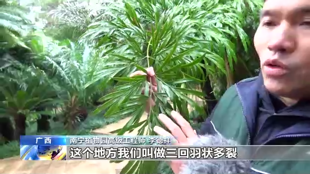 什么是生物多样性保护（保护生物的多样性有什么意义）