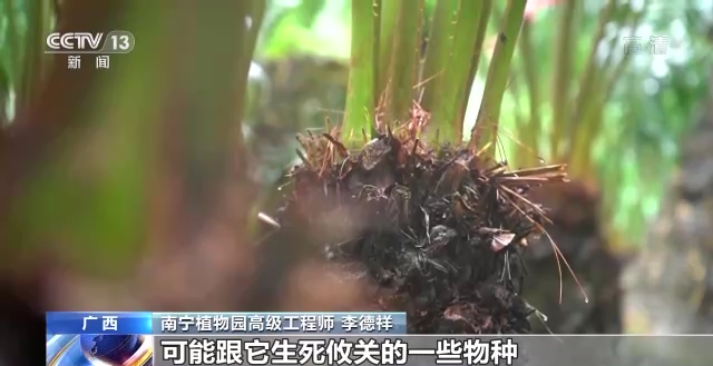 什么是生物多样性保护（保护生物的多样性有什么意义）