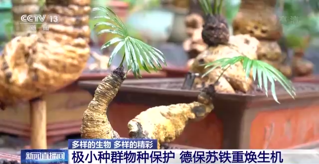 什么是生物多样性保护（保护生物的多样性有什么意义）