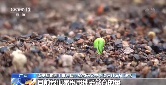 什么是生物多样性保护（保护生物的多样性有什么意义）