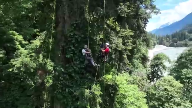 什么是生物多样性保护（保护生物的多样性有什么意义）