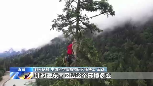 什么是生物多样性保护（保护生物的多样性有什么意义）