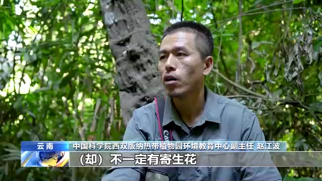 什么是生物多样性保护（保护生物的多样性有什么意义）