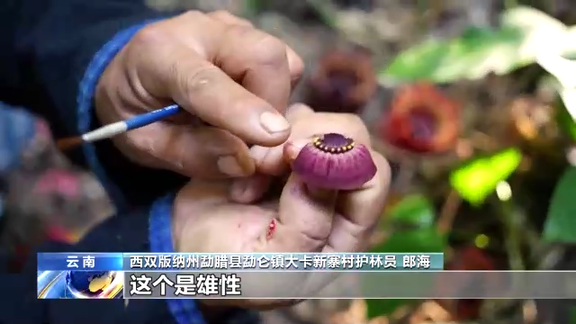 什么是生物多样性保护（保护生物的多样性有什么意义）