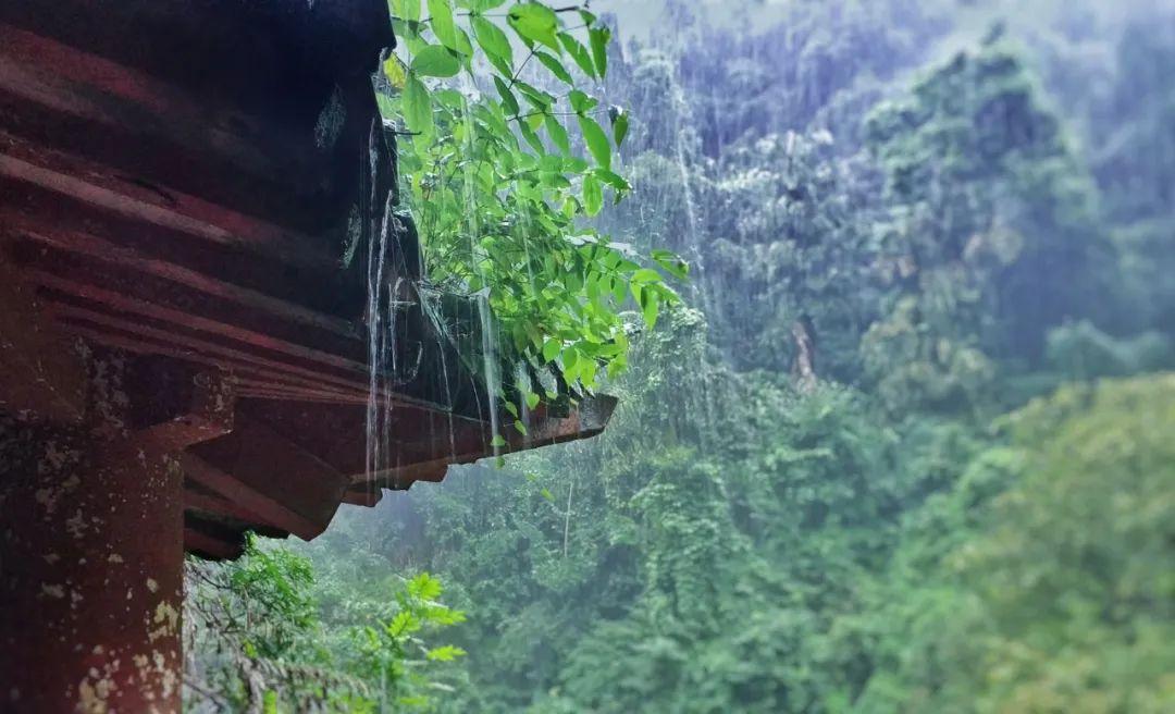 关于春雨的优美的诗句（赞美春雨的优美诗句有哪些?）