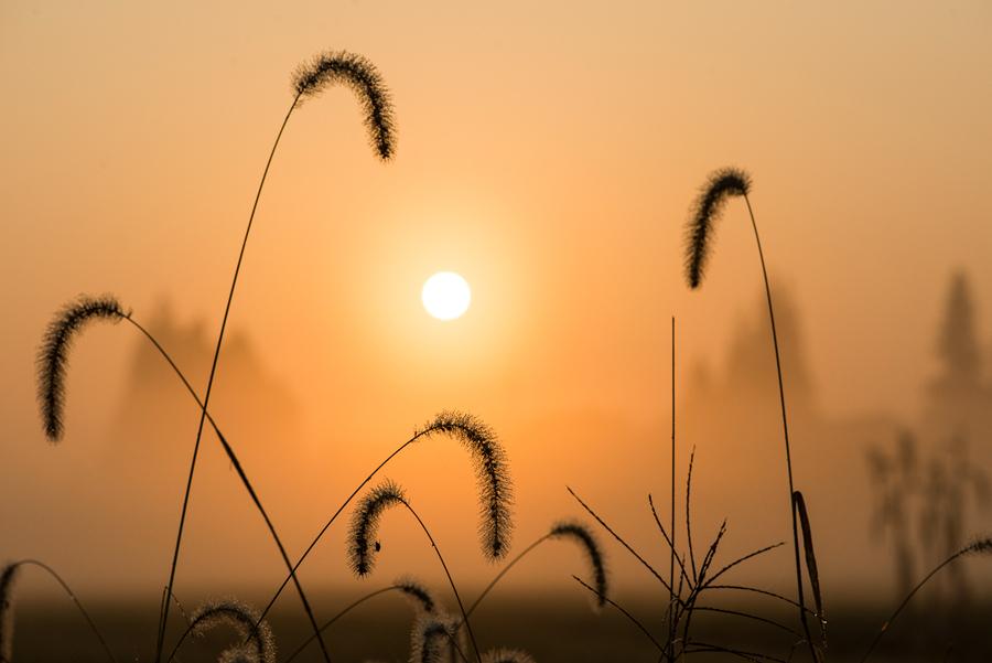 描写夕阳美景的古诗词（描写夕阳美的古诗句）