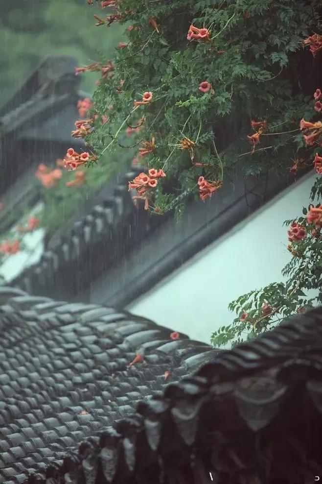 听雨声思念的诗句（十首听雨诗词鉴赏）