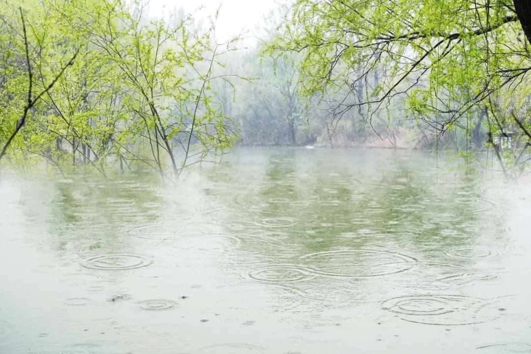 关于春雨的优美的诗句（赞美春雨的优美诗句有哪些?）