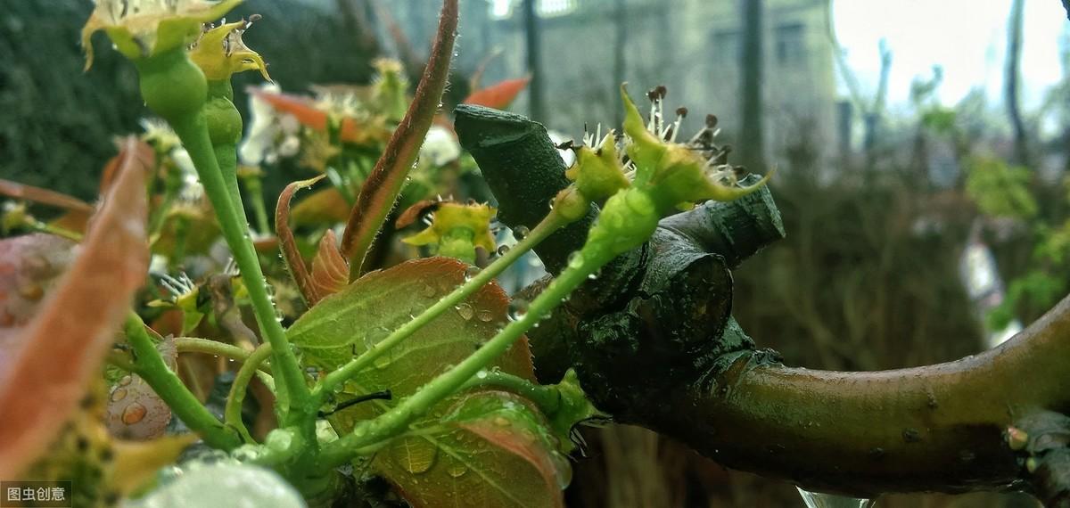 下雨天的诗词文案（关于雨天的古诗词大全）