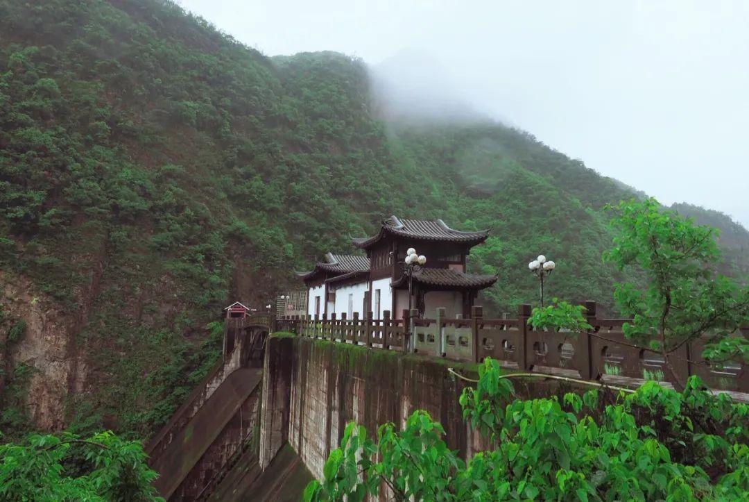 关于春雨的优美的诗句（赞美春雨的优美诗句有哪些?）