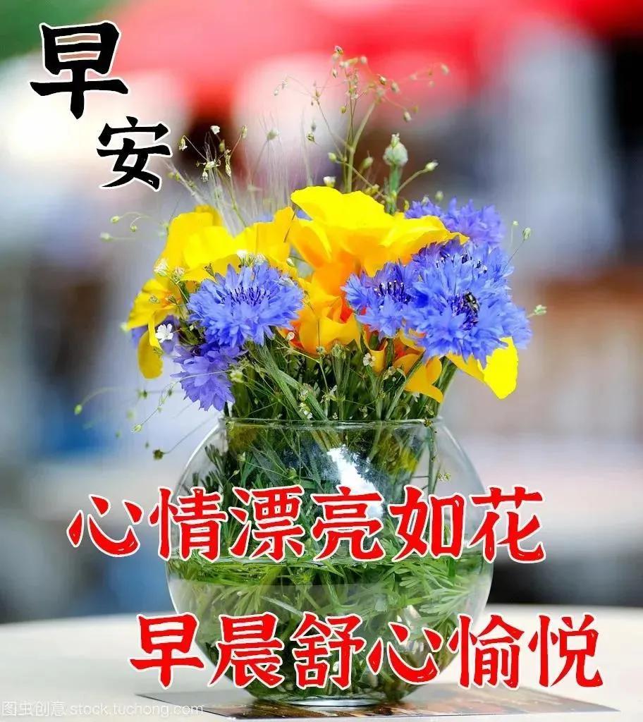 微信早上好祝福语大全早安问候语（暖心早上好问候祝福语大全）